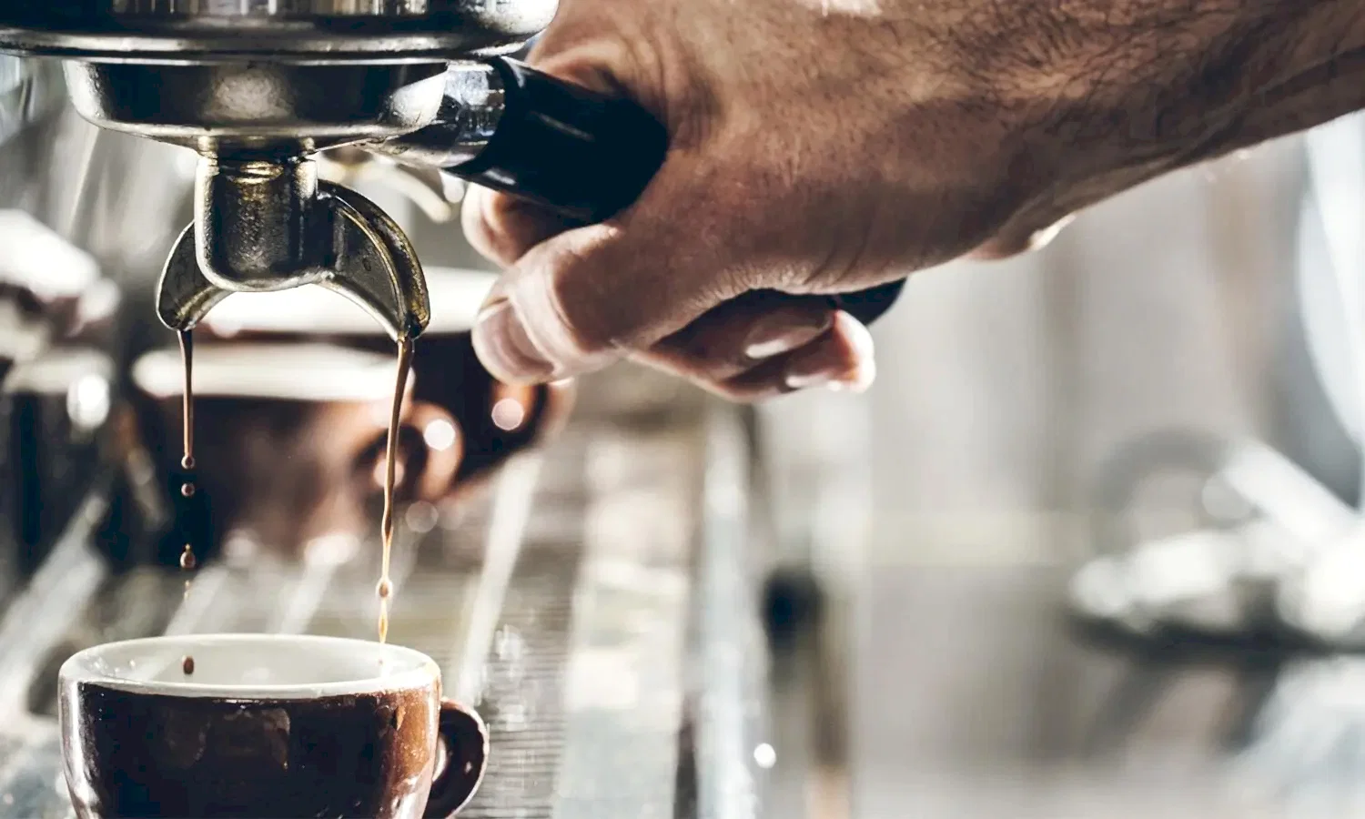 Barista Eğitimleri